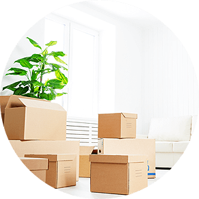 Move-In / Move-Out cleaning